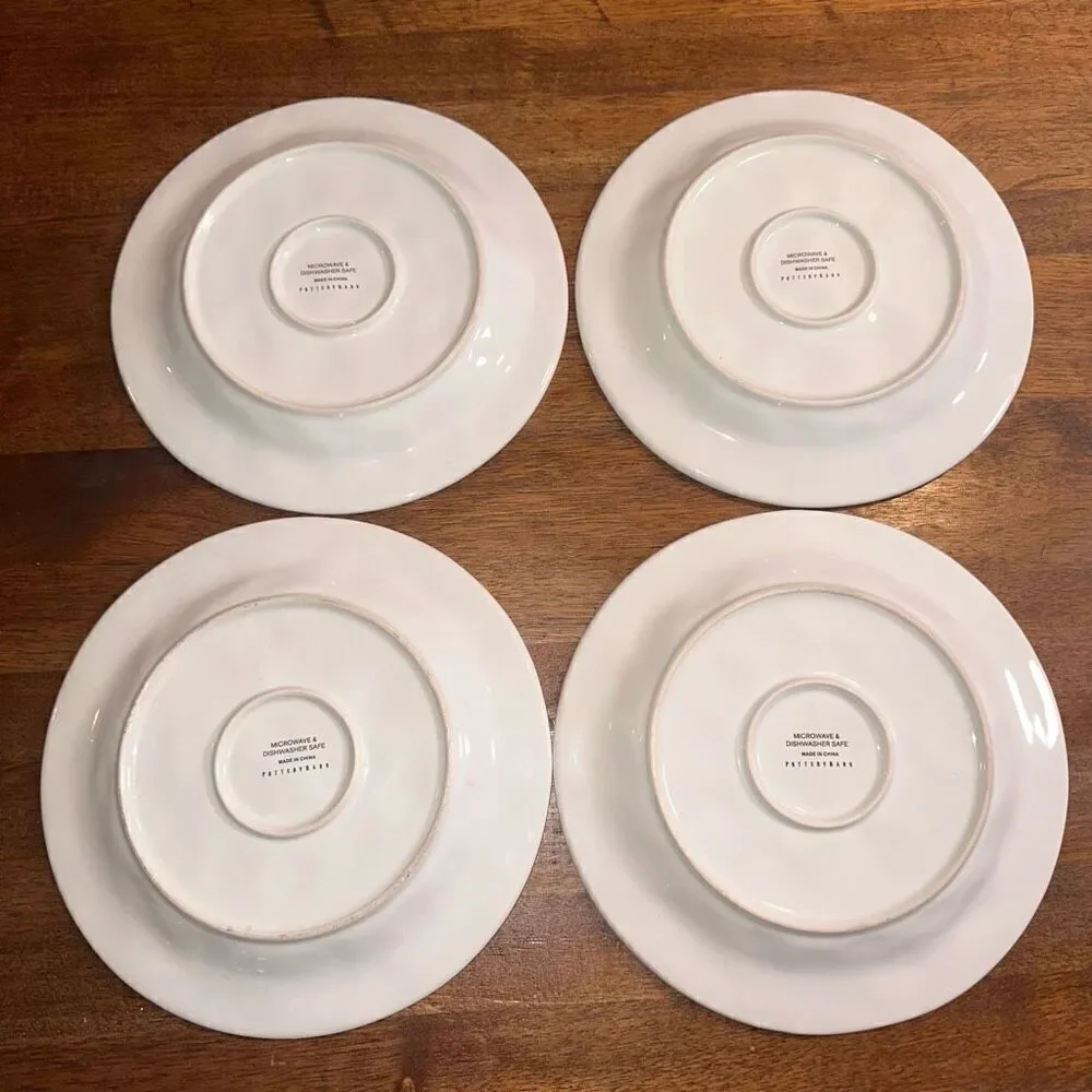 Pottery Barn Stoneware Jewel Plates 9